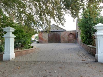 Picture 8
